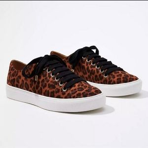 LOFT Leopard Animal Print Canvas Black Lace Up Sneakers Tennis Shoes 11M